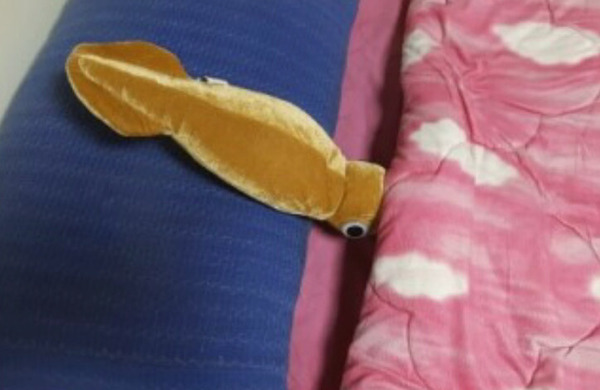 오징어 이불 잘자 저녁 인형 못생긴 못생겼다