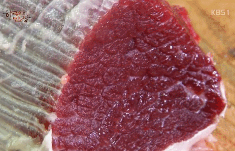 한국인의 밥상 도축 소고기 움직이는 근육 움짤 1시간