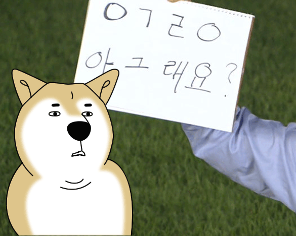 긍정해주는 시바