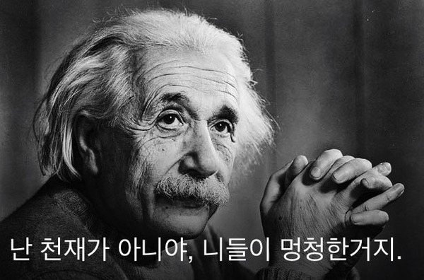 #아인슈타인 #미친짤