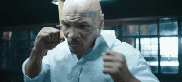 싸움 복싱 무서운 맞자 타이슨 제삿날 폭력 때리는 권투 주먹 한방