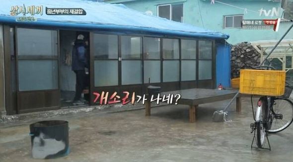 개소리 헛소리 어디서 개소리가나네 개같은 닥쳐 삼시세끼 유해진