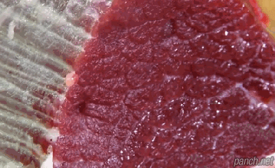 한국인의 밥상 소고기 사후경직 움직임 고기 육질 살아서 꿈틀