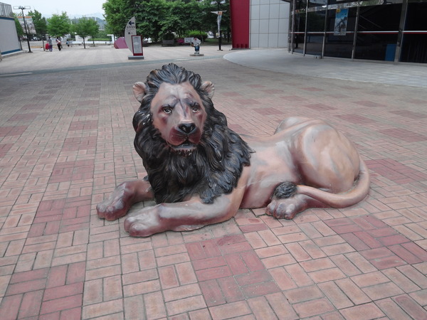 사자 진지 엄근