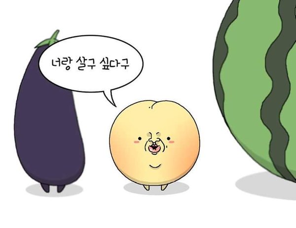고백 사랑 너랑 살구 싶다구 과일 가지 참외 수박