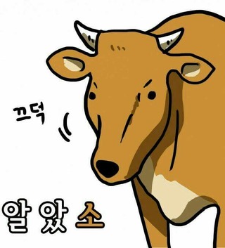 알았소 끄덕 알았다 응 끄덕
