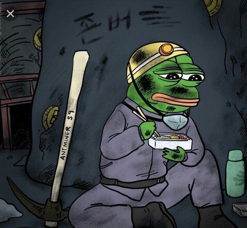 개구리 슬픈개구리 존버 거지 비트코인 코인 암호화폐 망함 가상화폐 망함 주식 탄광 도시락