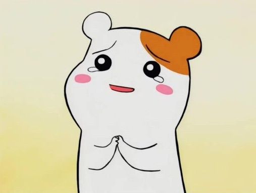 에비츄 간절 눈물 울음 부탁