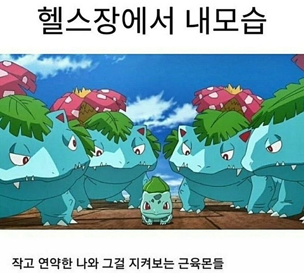 헬린이 헬스 헬스장 근육 초보 연약 근육몬 내모습