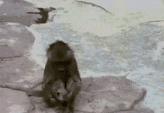 얼굴 못생긴 니얼굴 내얼굴 깜짝 놀람 셀카 내모습 니모습