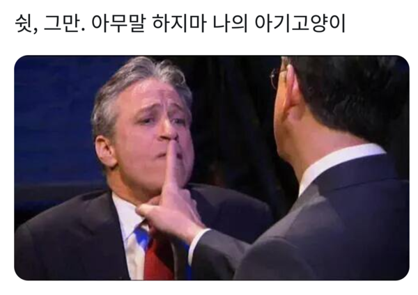 그만 닥쳐 쉿 아무말 하지마 아기고양이