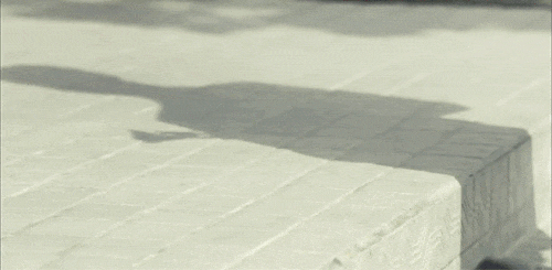 시그널 국화 죽음 장례 헌화 국화꽃