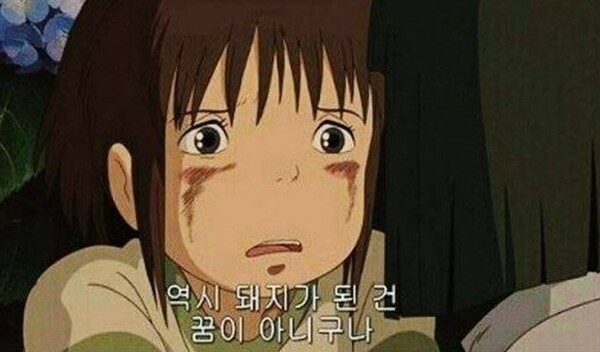 돼지 살찐 꿈 현실 센과치히로 행방불명