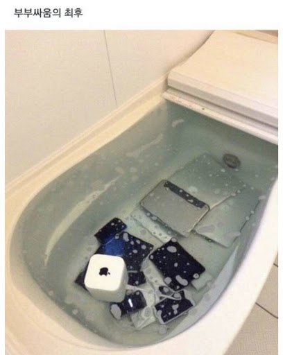 부부싸움 결혼 최후 하지마