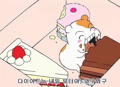 다이어트 내일부터 에비츄 실패 케이크 음식 케잌