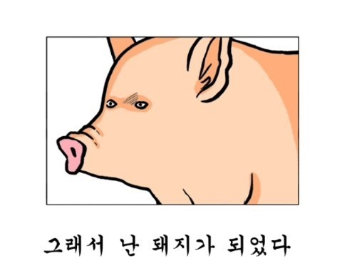 돼지 다이어트 실패 되었다 뚱뚱 꿀꿀