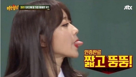 짧고 뚱뚱 혀 메롱 뚱뚱한 다이어트 뚱보 살찐