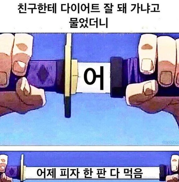 다이어트 피자 한판 헬스 살빼기 뚱뚱 돼지