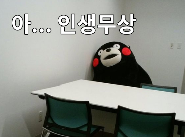 인생무상 허무 쿠마몬 좌절