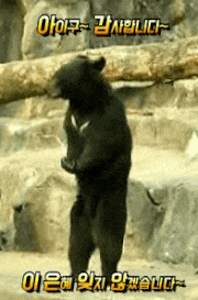 감사 은혜 인사 아이구 감사합니다 곰 반달곰 동물원