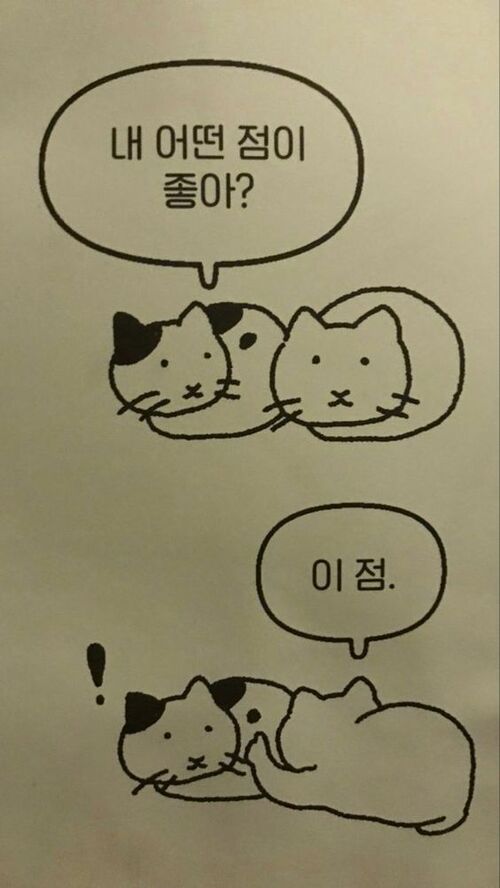 고양이 냥이 어떤점 이점 좋아