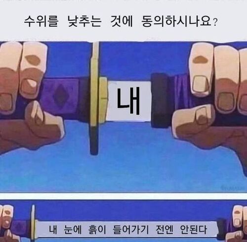 내 눈에 흙이 들어가기 전에 안된다 칼 칼뽑는 수위 낮추는 동의