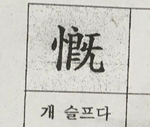 슬픔 개슬프다 개슬픔 한자 안습 눈물