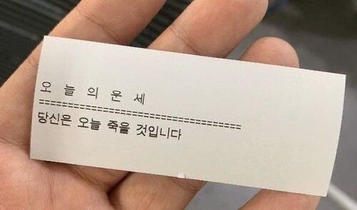 오늘 운세 오늘의운세 당신 죽을 것입니다 사주 죽어 죽는다