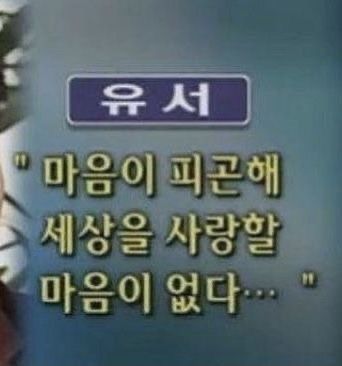 마음 피곤해 세상을 사랑할 마음이 없다 유서