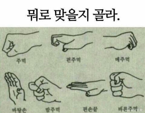 뭐로 맞을지 골라 맞자 주먹 편주멱 메주먹 바탕손 밤주먹 편손끝 바른주먹