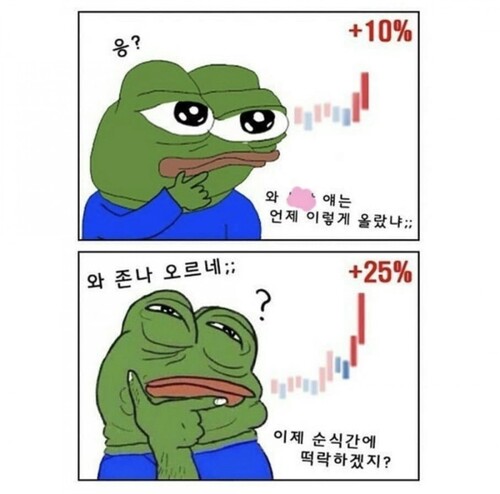 비트코인 개구리 슬개짤 슬픈 코인 주식 페페 떡락 떡상