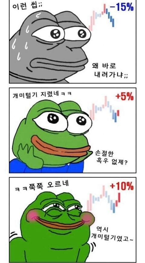 비트코인 개구리 슬개짤 슬픈 코인 주식 페페 떡락 떡상 개미털기 손절