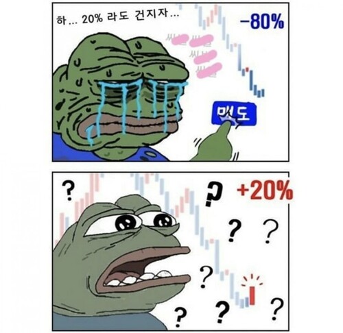 비트코인 개구리 슬개짤 슬픈 코인 주식 페페 떡락 떡상 개미털기 손절 매도 후회