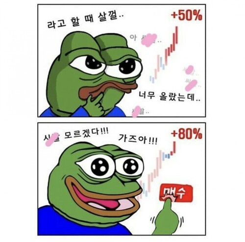 비트코인 개구리 슬개짤 슬픈 코인 주식 페페 떡락 떡상 개미털기 손절 매도 후회 매수