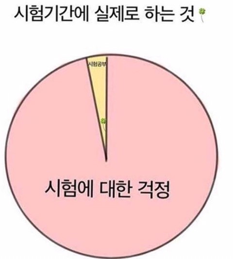 시험 공부 걱정 시험기간 실제 생각 니생각 내생각 공부안함