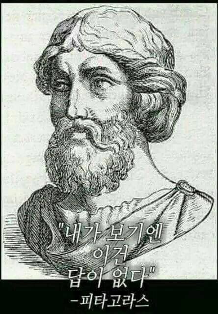 답이없다 답답 답답하다 내가 보기엔 이건 답이 없다 피타고라스 명언