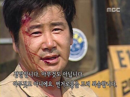 정말입니다 아무것도 아닙니다 아니에요 번거로움을 드려 죄송합니다 피흘리면서