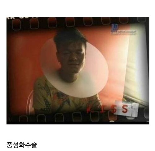 박진영 중성화 수술 JYP 넥카라