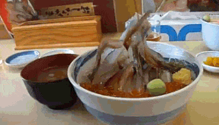 오징어 간장 춤추는 다리 못생김 못생겼어 얼굴