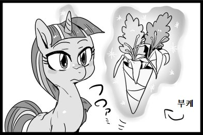 결혼해줘 사랑해 고백 부케 포니