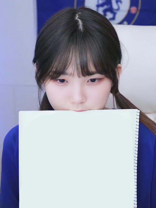 우정잉 종이 스케치북 스트리머