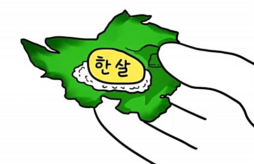 새해 인사 한살 나이 1살 쌈싸먹어 쌈 한살먹어 선물 배달