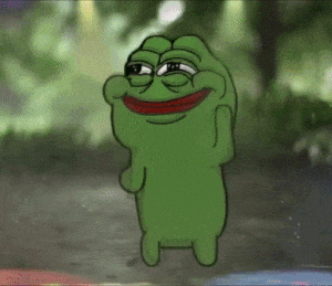 춤추는 슬개짤 비오는날 어쩔 저쩔 흥이난다 춤