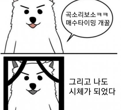 주식 코인 매수 타이밍 매수타이밍 폭락 추매 추격매수 곡소리 시체