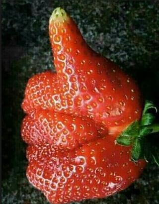 엄지척 최고 칭찬 나이스 딸기