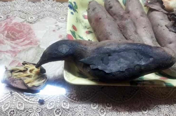 비둘기 군고구마 착시 레전드 고전