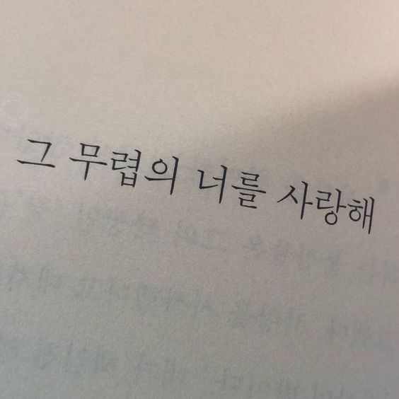 그 무렵의 너를 사랑해 연인 책