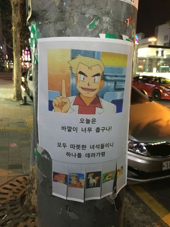오늘은 바깥이 너무 춥구나 하나를 데려가렴 포켓몬스터