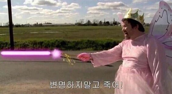 변명하지말고 죽어 핑크 요정 아재 마술봉 마법
