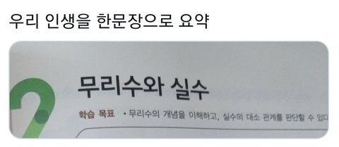 무리수와 실수 우리 인생을 한문장으로 요약